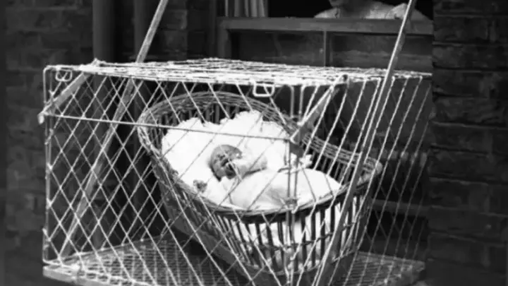 Gaiolas para bebês em janelas: porque mães penduravam filhos a dezenas de metros do chão na década de 1930?