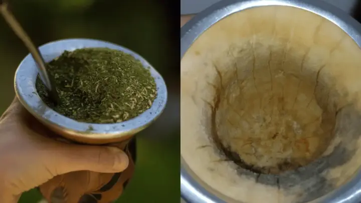 Cuia de chimarrão pode esconder bactérias e mofo invisíveis; veja como limpar corretamente