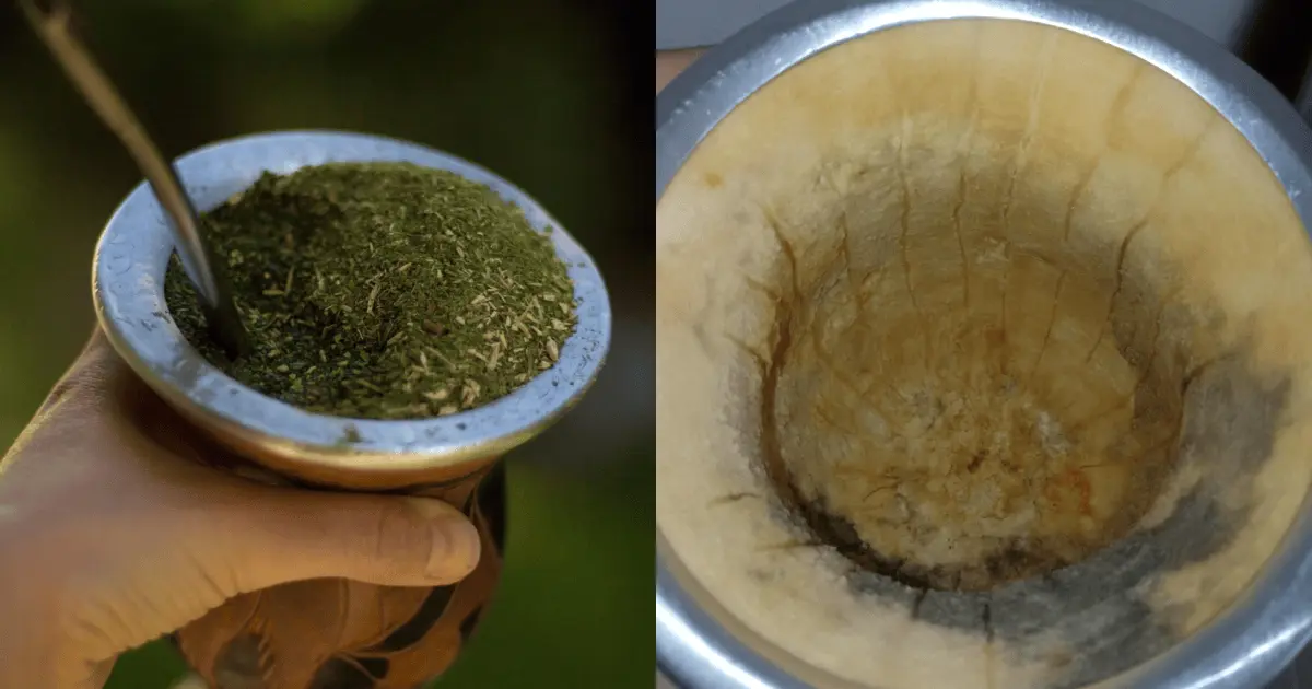 Cuia de chimarrão pode esconder bactérias e mofo invisíveis; veja como limpar corretamente