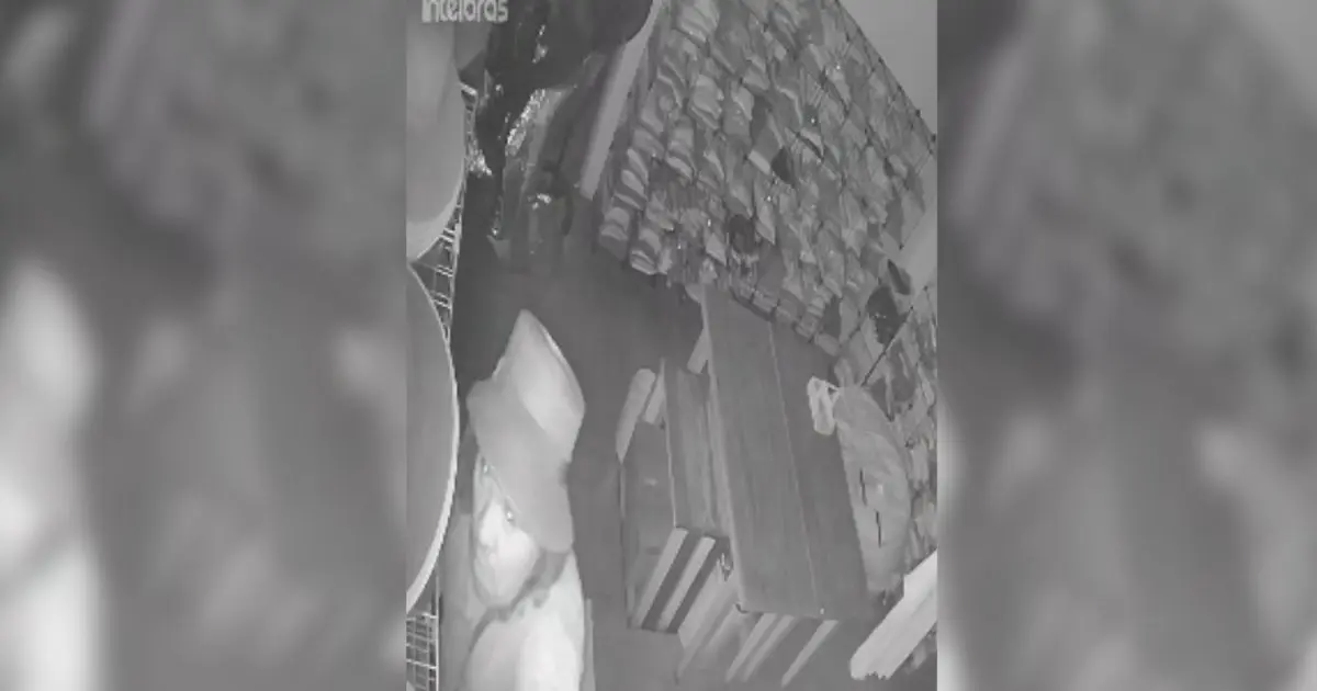 Presos por roubo a joalheria em SP são liberados após prestarem depoimento