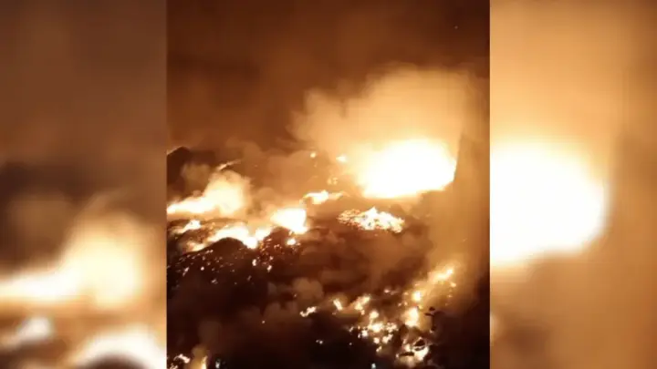 Governo reconhece emergência em 36 cidades do Amazonas após incêndios