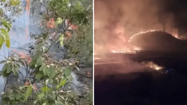 Vídeos: Dois incêndios atingem áreas de mata em Minas Gerais