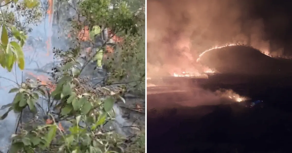 Vídeos: Dois incêndios atingem áreas de mata em Minas Gerais