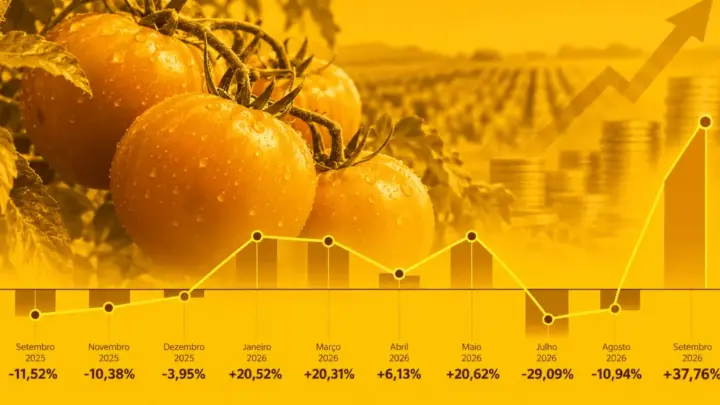 Tomate desafia padrão histórico de preços e surpreende na inflação de 2026