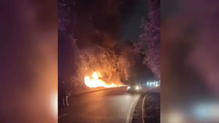 Incêndios na Amazônia: Tarcísio e Nikolas criticam; governo envia reforço