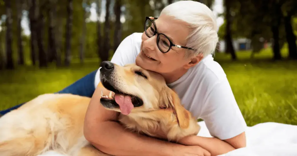 71% dos tutores na terceira idade aproveitam mais a vida: como cães e gatos viraram os maiores aliados de quem envelhece sem companhia