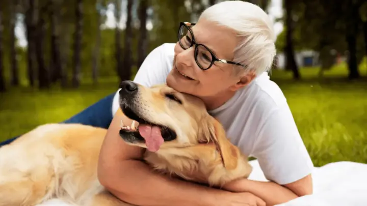 71% dos tutores na terceira idade aproveitam mais a vida: como cães e gatos viraram os maiores aliados de quem envelhece sem companhia