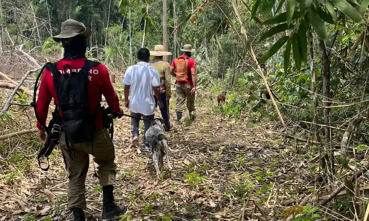 Busca por bebê raptada pelo tio completa uma semana no Acre