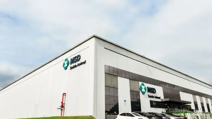 MSD obtém reconhecimento para certificação que facilita crédito rural