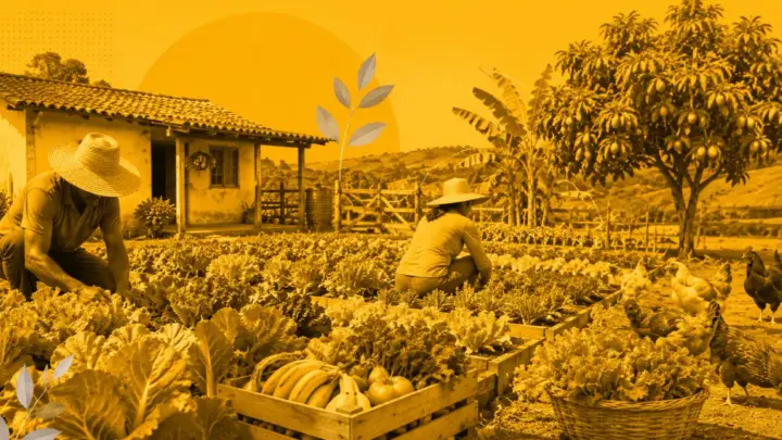 Agricultura familiar e fome: o que Flávio Bolsonaro e Lula propõem