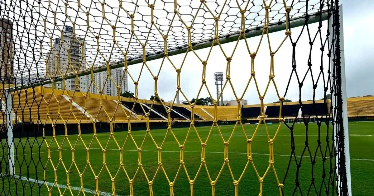 São Bernardo x Criciúma: horário e onde assistir ao jogo da Série B
