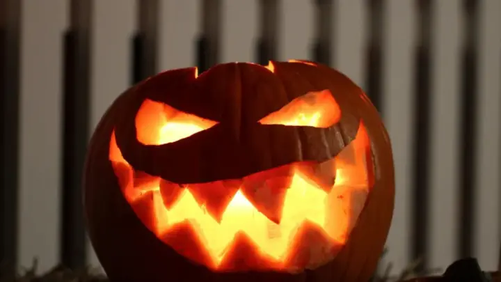 Do susto ao riso: por que gostamos de sentir medo no Halloween?