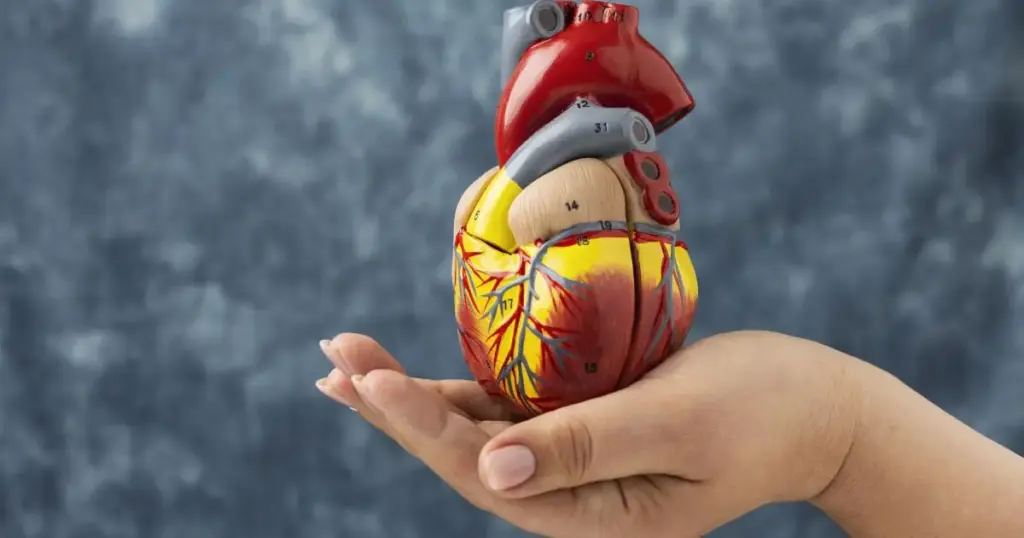 Doenças cardiovasculares resultam em um óbito a cada 72 segundos no Brasil