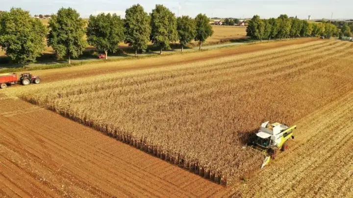 Europa arrisca perder competitividade agrícola para o Brasil, diz Bayer