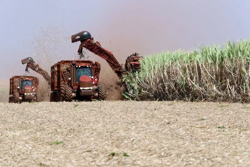 Datagro alerta para riscos de produtividade na safra de cana 2027/28