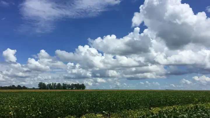 Imea mantém projeções da safra 26/27 de soja e milho de MT