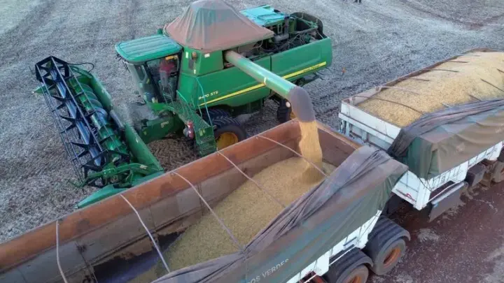 Plantio de soja no Brasil alcança 40% da área, diz AgRural